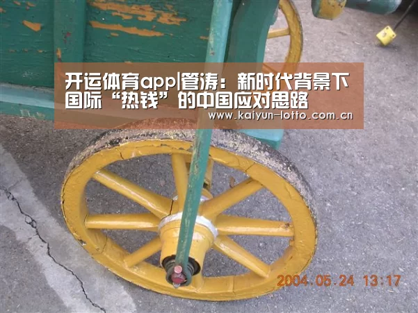 开运体育app|管涛:新时代背景下国际“热钱”的中国应对思路(图2) 开运体育app
